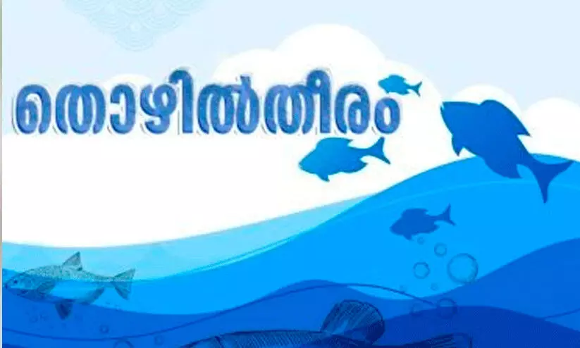 തീരദേശ മേഖലയിലെ യുവാക്കൾക്കായി തൊഴിൽതീരം പദ്ധതി തീരദേശ മേഖലയിലെ യുവാക്കൾക്കായി തൊഴിൽതീരം പദ്ധതി