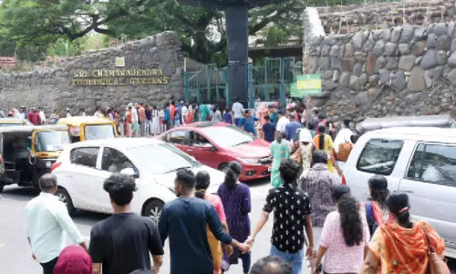 ദ​സ​റ ദി​ന​ങ്ങ​ളി​ൽ മൈ​സൂ​രു മൃ​ഗ​ശാ​ല സ​ന്ദ​ർ​ശി​ച്ച​ത് 1.56 ല​ക്ഷം പേ​ർ