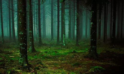 Representation image