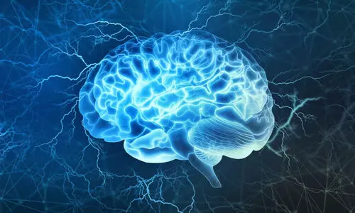 അമിത വണ്ണം അൽഷിമേഴ്സിനു കാരണമാകുമെന്ന് പഠനങ്ങൾ