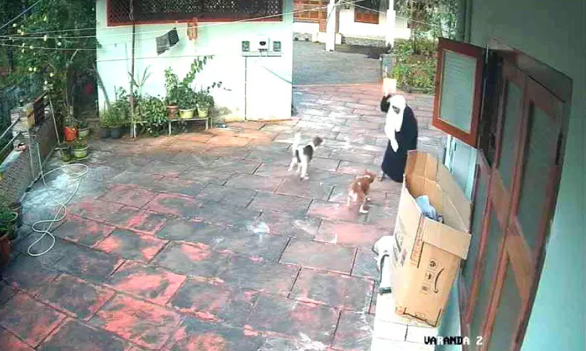 തെ​രു​വു നാ​യു​ടെ ആ​ക്ര​മ​ണ​ത്തി​ൽ നിന്ന് 15 കാ​രി ര​ക്ഷ​പ്പെ​ട്ടു