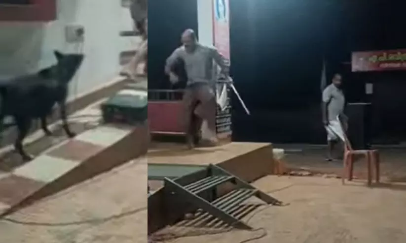 തെരുവുനായ് ശല്യത്തിനെതിരായ നാടകത്തിനിടെ നായുടെ ആക്രമണം; കാണികള്‍ കരുതിയത് നാടകത്തിന്റെ ഭാഗമെന്ന്