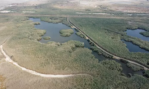 ജ​ഹ്‌​റ നേ​ച്ച​ർ റി​സ​ർ​വ് ന​വം​ബ​റി​ൽ തു​റ​ക്കും