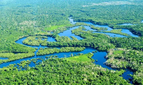 Amazon rainforest