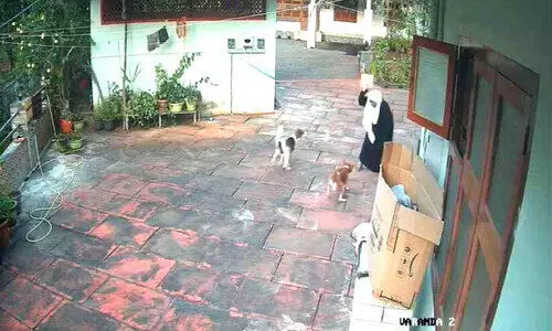 തെ​രു​വു നാ​യു​ടെ ആ​ക്ര​മ​ണ​ത്തി​ൽ നിന്ന് 15 കാ​രി ര​ക്ഷ​പ്പെ​ട്ടു