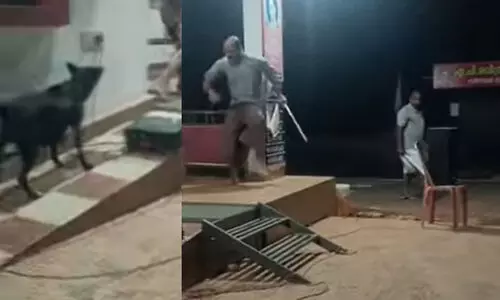 തെരുവുനായ് ശല്യത്തിനെതിരായ നാടകത്തിനിടെ നായുടെ ആക്രമണം; കാണികള്‍ കരുതിയത് നാടകത്തിന്റെ ഭാഗമെന്ന്