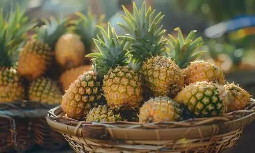 റെ​ക്കോ​ഡ് ഉ​യ​ര​ത്തി​ലേ​ക്ക്​ കു​തി​ച്ച് പൈ​നാ​പ്പി​ൾ വി​ല...