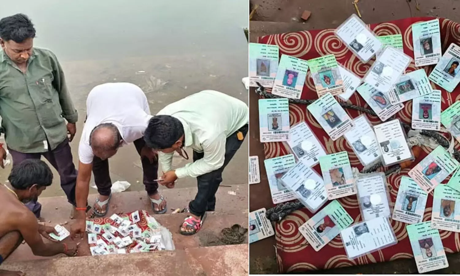 മധ്യപ്രദേശിലെ കുളത്തിൽ നൂറു കണക്കിന് ഒറിജിനൽ വോട്ടർ ഐ.ഡികൾ; രാഹുലിന്റെ ‘വോട്ട് ചോർ’ ആരോപണം പ്രതിഫലിപ്പിക്കുന്നുവെന്ന് കോൺഗ്രസ്