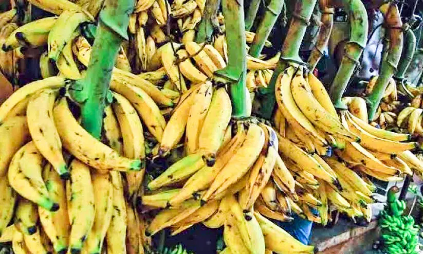 വിലയിടിഞ്ഞ്​ ഏത്തപ്പഴം; കർഷകർ പ്രതിസന്ധിയിൽ