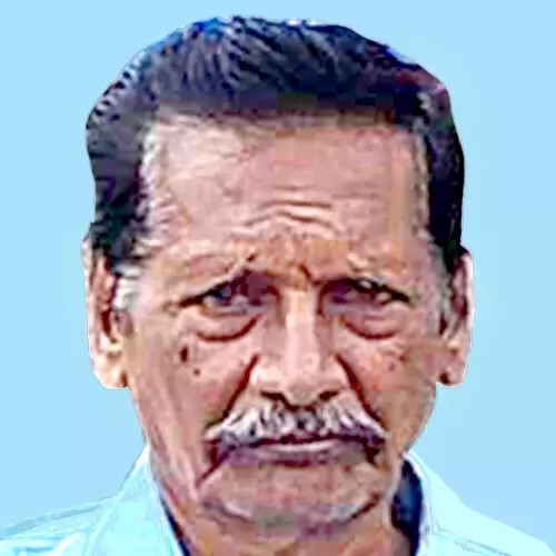 തേ​നീ​ച്ച​യു​ടെ കു​ത്തേ​റ്റ് മ​രി​ച്ചു