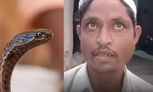 ഭാര്യ രാത്രി പാമ്പായി മാറി കടിക്കാൻ പിന്നാലെ വരുന്നു -പരാതിയുമായി ജില്ല മജിസ്ട്രേറ്റിന് മുന്നില്‍ യുവാവ്