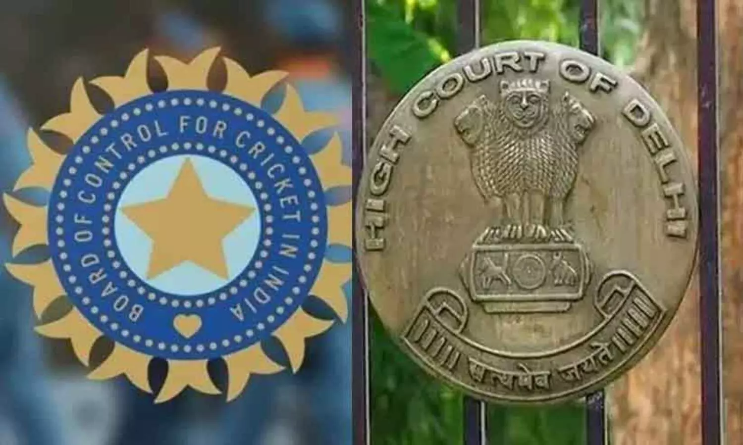 ഇന്ത്യൻ ക്രിക്കറ്റ് ടീമിന്റെ പേര് മാറ്റണമെന്ന് ആവശ്യപ്പെട്ടുള്ള ഹരജി തള്ളി