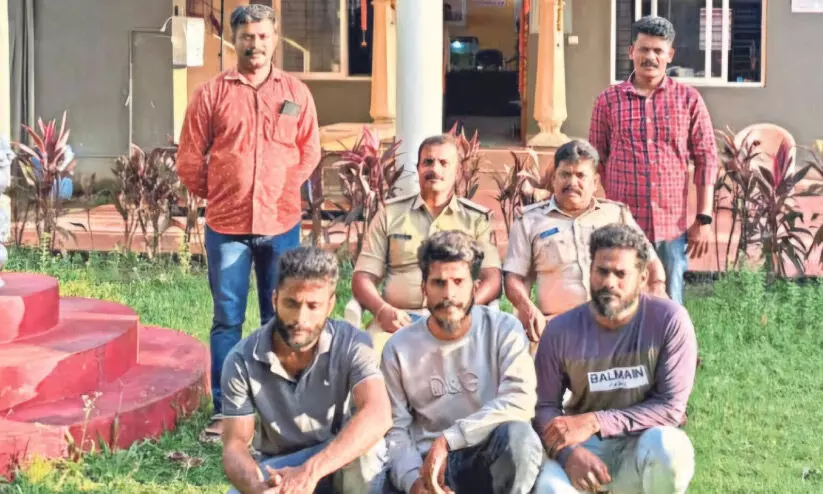 വീട്ടമ്മയെ ഭീഷണിപ്പെടുത്തി കാലികളെ മോഷ്ടിച്ചു; മൂന്നുപേർ അറസ്റ്റിൽ വീട്ടമ്മയെ ഭീഷണിപ്പെടുത്തി കാലികളെ മോഷ്ടിച്ചു; മൂന്നുപേർ അറസ്റ്റിൽ