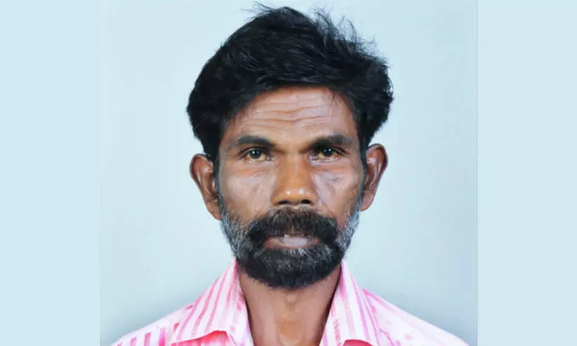 കടന്നൽ ആക്രമണത്തിൽ ക്ഷീരകർഷകന് ദാരുണാന്ത്യം; മകനും അയൽവാസിക്കും പരിക്ക്