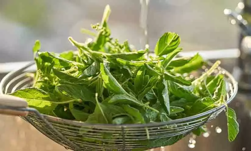 ഓങ്കോളജിസ്റ്റ് പറയുന്നു, വീട്ടിൽ തന്നെ ലഭ്യമാകുന്ന ഈ 5 ഭക്ഷണങ്ങൾ കാൻസറിനെ പ്രതിരോധിക്കും