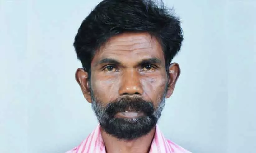 തേനീച്ച ആക്രമണത്തിൽ ക്ഷീരകർഷകൻ മരിച്ചു; മക്കൾക്കും അയൽവാസികൾക്കും പരിക്ക്