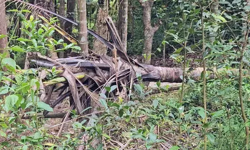 കാ​ടു​ക​യ​റാ​തെ കാ​ട്ടാ​ന​ക്കൂ​ട്ടം