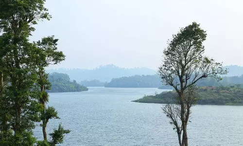 വ​യ​നാ​ട് വി​ക​സ​ന പാ​ക്കേ​ജ്; 62 കോ​ടി രൂ​പ​യു​ടെ പ​ദ്ധ​തി​ക​ൾ​ക്ക് അ​നു​മ​തി