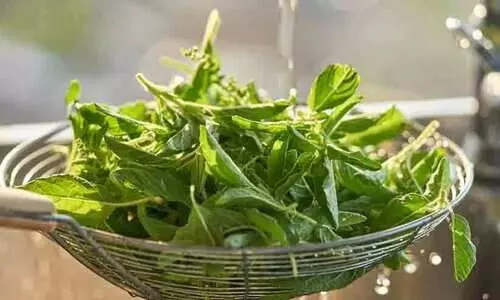 ഓങ്കോളജിസ്റ്റ് പറയുന്നു, വീട്ടിൽ തന്നെ ലഭ്യമാകുന്ന ഈ 5 ഭക്ഷണങ്ങൾ കാൻസറിനെ പ്രതിരോധിക്കും