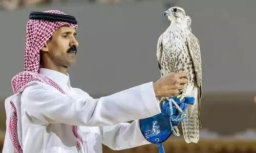 Saudi Falcons Exhibition\,Mongolian falcons,Falcon sale,900,000 riyals,Bird auction, സൗദി അറേബ്യ,ഫാൽക്കൺ, മം​ഗോളിയൻ,