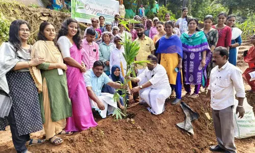 Bambusoideae plantation at Oxygen Park inaugurated by Meenangadi Grama Panchayat President  K.E. Vinayan
