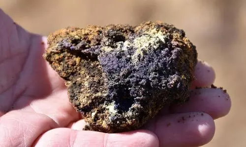 അപൂർവ ധാതുക്കൾ യു.എസിന് നൽകരുത്; ഇന്ത്യയുടെ ഉറപ്പ് തേടി ചൈന