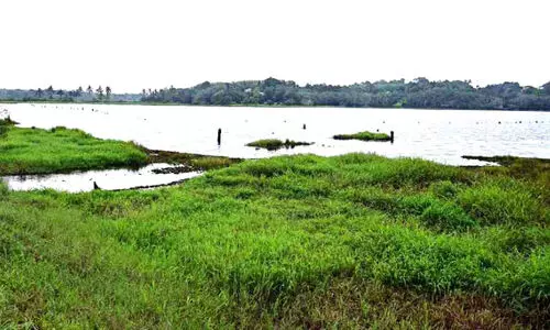 ശാസ്താംകോട്ടയുടെ ടൂറിസം ഹബ്ബാകാന്‍ ചേലൂര്‍ കായല്‍