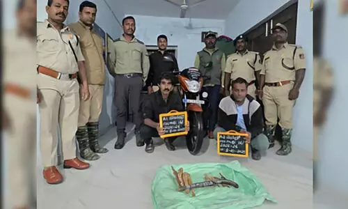 പ്രസ് സ്റ്റിക്കർ പതിച്ച ബൈക്കിൽ ചന്ദനക്കടത്ത്; പ്രാദേശിക പത്ര റിപോർട്ടർ ഉൾപ്പെടെ രണ്ടുപേർ അറസ്റ്റിൽ