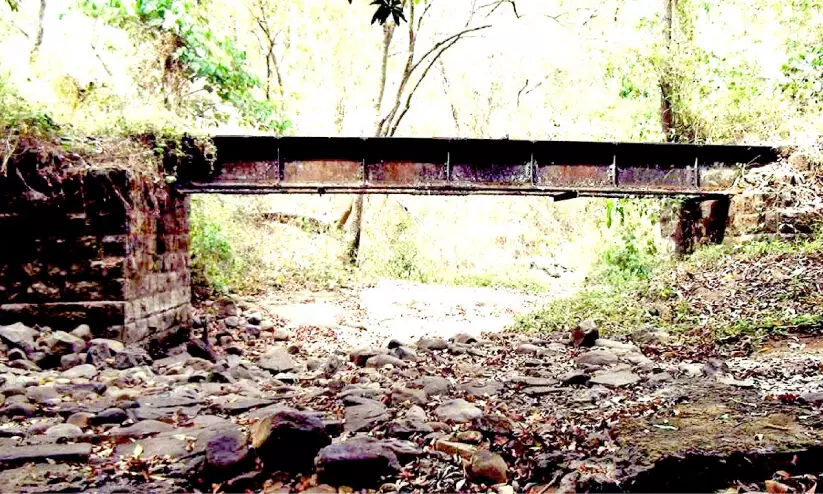 വെള്ളിക്കുളങ്ങരയില്‍ ഇക്കോ ടൂറിസത്തിന് അനന്തസാധ്യത