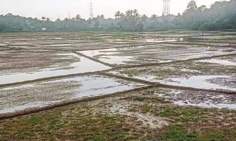 representative image representative image