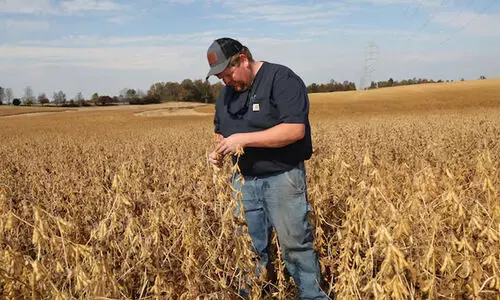 ട്രംപിന് വൻ തിരിച്ചടി, യു.എസ് കർഷകരുടെ കഞ്ഞികുടി മുട്ടിച്ച് ​ചൈന
