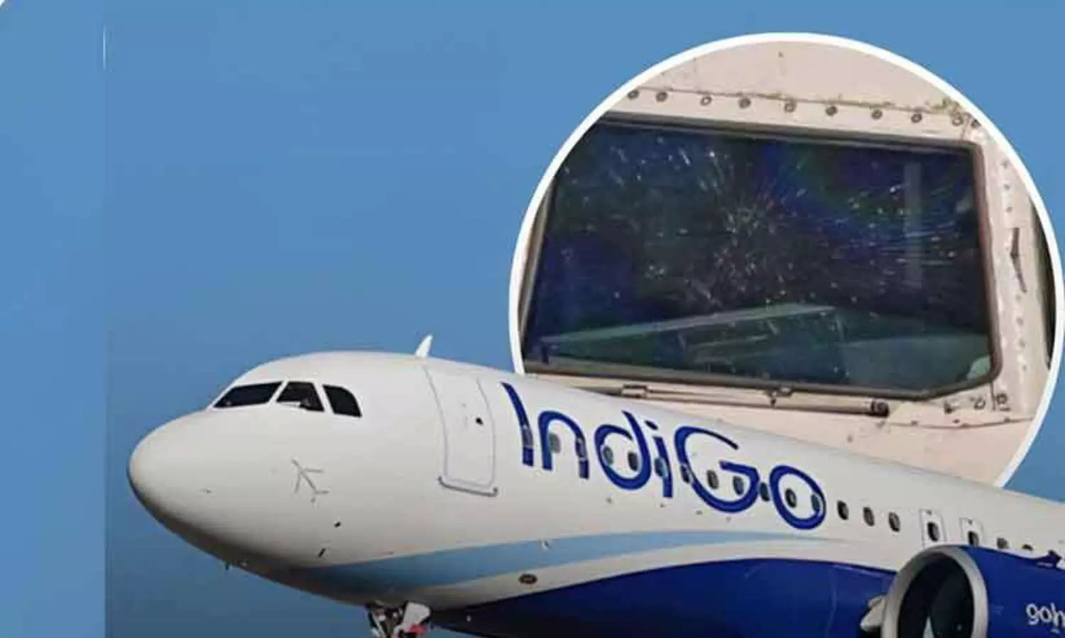 IndiGo