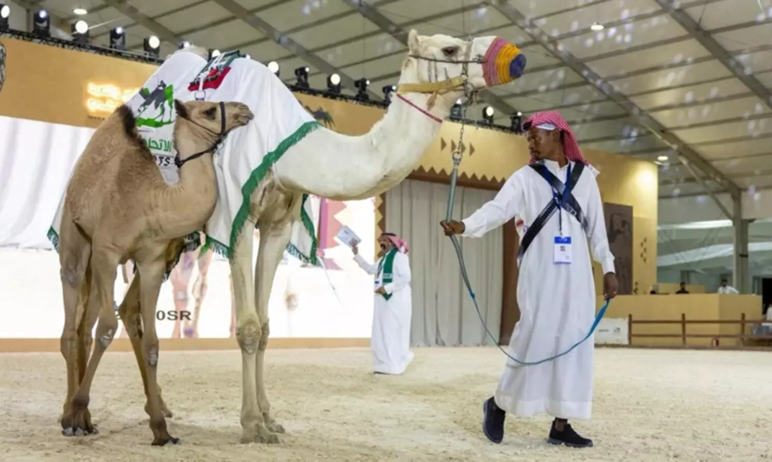 സൗദി അന്താരാഷ്ട്ര ഫാൽക്കൺസ് ആൻഡ് ഹണ്ടിങ് എക്സിബിഷനിൽ ഒട്ടക ലേലം ശ്രദ്ധേയമായി