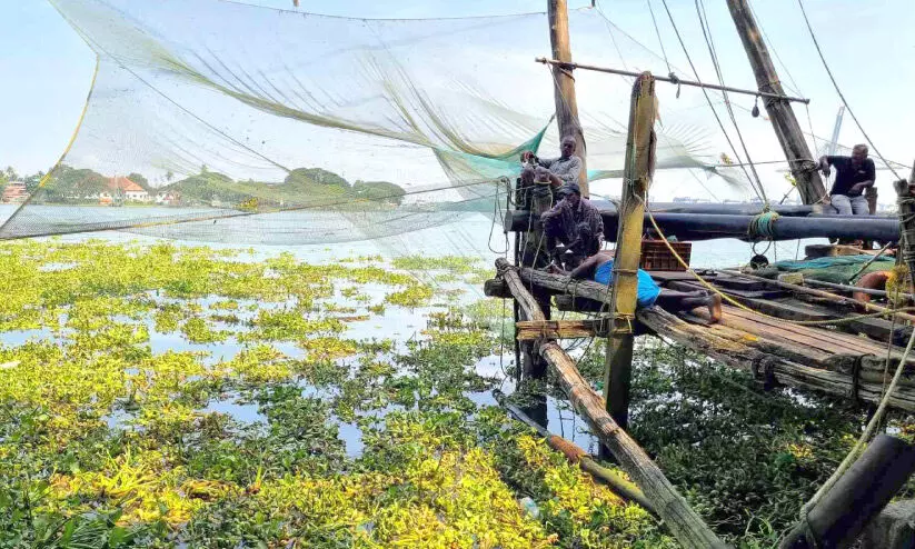 cheena net cheena net