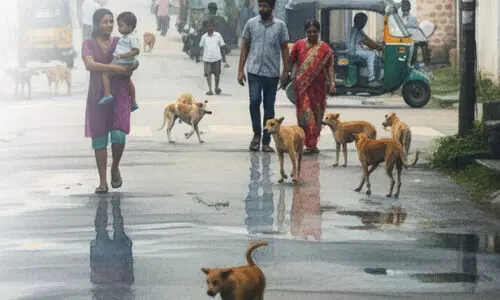 തെരുവുനായ്​ ആക്രമണം രൂക്ഷം; ഭീതിയിൽ ജനം