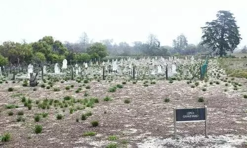 റോബൻ ദ്വീപിലെ തടവറകൾ റോബൻ ദ്വീപിലെ തടവറകൾ