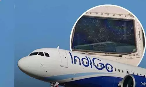 IndiGo