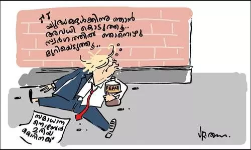 പീസ്