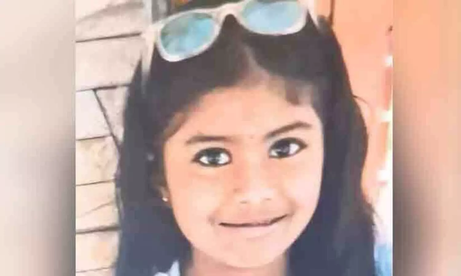 സ്കൂൾ വാനിൽ നിന്നിറങ്ങി വീട്ടിലേക്ക് നടക്കവേ തേനീച്ചകൂട്ടത്തിന്റെ ആക്രമണം; ഏഴ് വയസുകാരിക്ക് ദാരുണാന്ത്യം, മറ്റൊരു വിദ്യാർഥിയുടെ നില ഗുരുതരം