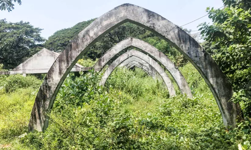 കാട്ടിനുള്ളിലൊരു മൾട്ടിപർപ്പസ് സ്റ്റേഡിയം