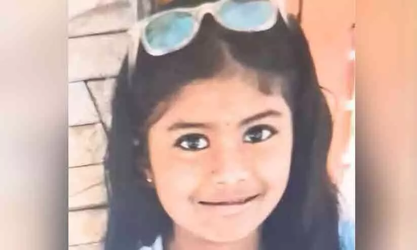 സ്കൂൾ വാനിൽ നിന്നിറങ്ങി വീട്ടിലേക്ക് നടക്കവേ തേനീച്ചകൂട്ടത്തിന്റെ ആക്രമണം; ഏഴ് വയസുകാരിക്ക് ദാരുണാന്ത്യം, മറ്റൊരു വിദ്യാർഥിയുടെ നില ഗുരുതരം