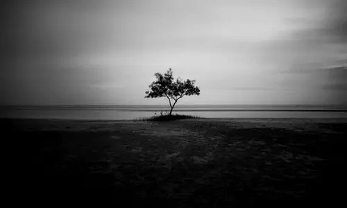 ക​വി​ത: ഒ​ലീ​വ്