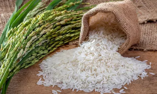 വേവിക്കാത്ത അരി കഴിക്കുന്നവരാണോ നിങ്ങൾ? ചിലത് ശ്രദ്ധിച്ചില്ലെങ്കിൽ പണി കിട്ടും!