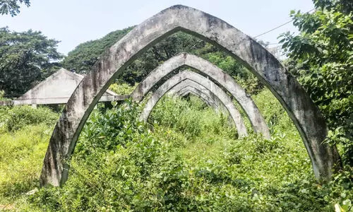 കാട്ടിനുള്ളിലൊരു മൾട്ടിപർപ്പസ് സ്റ്റേഡിയം