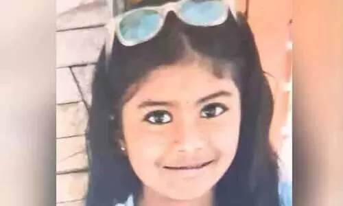 സ്കൂൾ വാനിൽ നിന്നിറങ്ങി വീട്ടിലേക്ക് നടക്കവേ തേനീച്ചകൂട്ടത്തിന്റെ ആക്രമണം; ഏഴ് വയസുകാരിക്ക് ദാരുണാന്ത്യം, മറ്റൊരു വിദ്യാർഥിയുടെ നില ഗുരുതരം