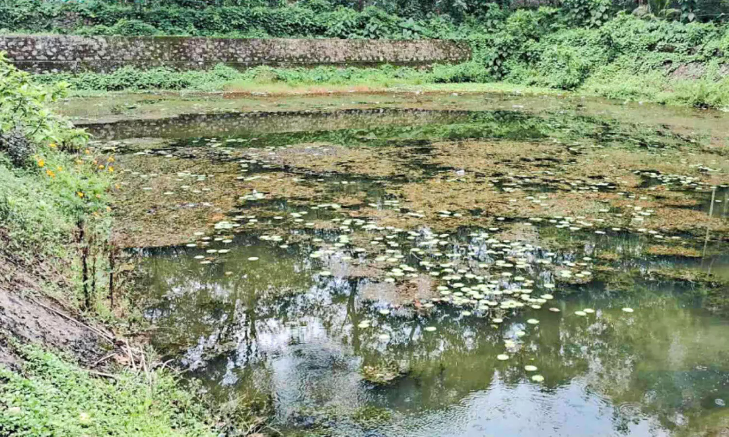 എന്ത് പറയാൻ, ആര് കേൾക്കാൻ; നവീകരിച്ച കുളത്തിൽ വീണ്ടും മാലിന്യം നിറഞ്ഞു