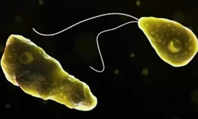 അമീബിക് മസ്തിഷ്കജ്വരം; രണ്ടുമാസത്തിനിടെ ജില്ലയിൽ മരിച്ചത്​ നാലുപേർ