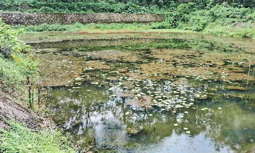 എന്ത് പറയാൻ, ആര് കേൾക്കാൻ; നവീകരിച്ച കുളത്തിൽ വീണ്ടും മാലിന്യം നിറഞ്ഞു എന്ത് പറയാൻ, ആര് കേൾക്കാൻ; നവീകരിച്ച കുളത്തിൽ വീണ്ടും മാലിന്യം നിറഞ്ഞു