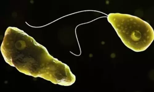 അമീബിക് മസ്തിഷ്കജ്വരം; രണ്ടുമാസത്തിനിടെ ജില്ലയിൽ മരിച്ചത്​ നാലുപേർ