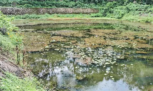 എന്ത് പറയാൻ, ആര് കേൾക്കാൻ; നവീകരിച്ച കുളത്തിൽ വീണ്ടും മാലിന്യം നിറഞ്ഞു
